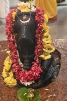 165th Shri Chitrapur Rathotsava 2026 - Day 7-8 (3, 4 April 2026) Pictures courtesy of Shri Dinesh Karkal